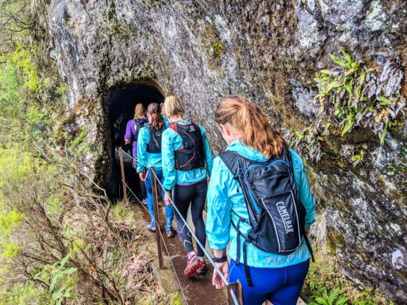 From Funchal: Easy to Moderate Green Levada Running Tour - Key Points