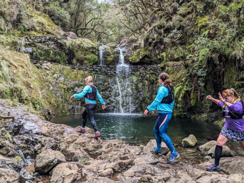From Funchal: Easy to Moderate Green Levada Running Tour - Group Size and Pricing