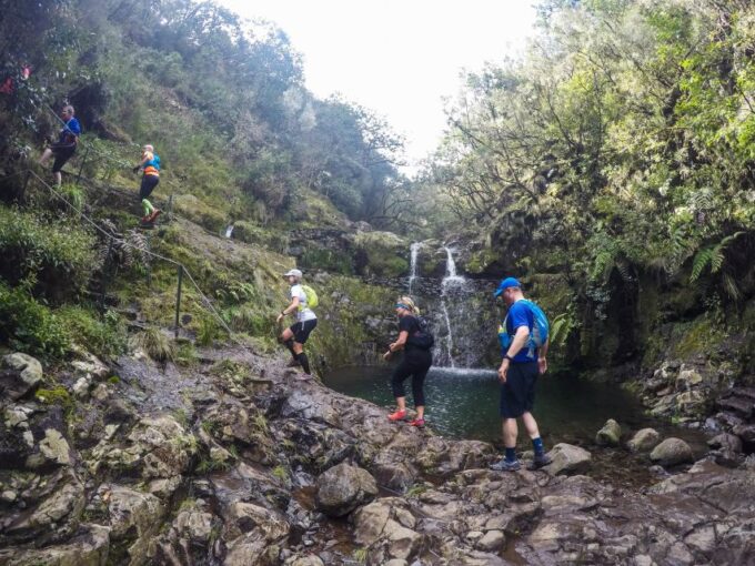 From Funchal: Easy to Moderate Green Levada Running Tour - Frequently Asked Questions