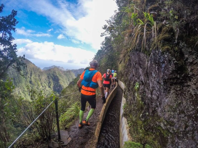 From Funchal: Easy to Moderate Green Levada Running Tour - Itinerary Highlights