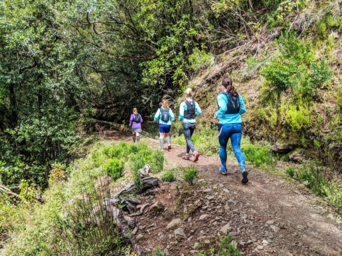 From Funchal: Easy to Moderate Green Levada Running Tour - Frequently Asked Questions