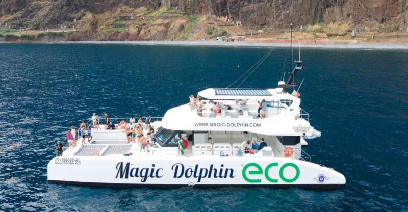 From Funchal: Ecological Catamaran Dolphin Whale Watching - Custom-Built Eco-Catamaran Features