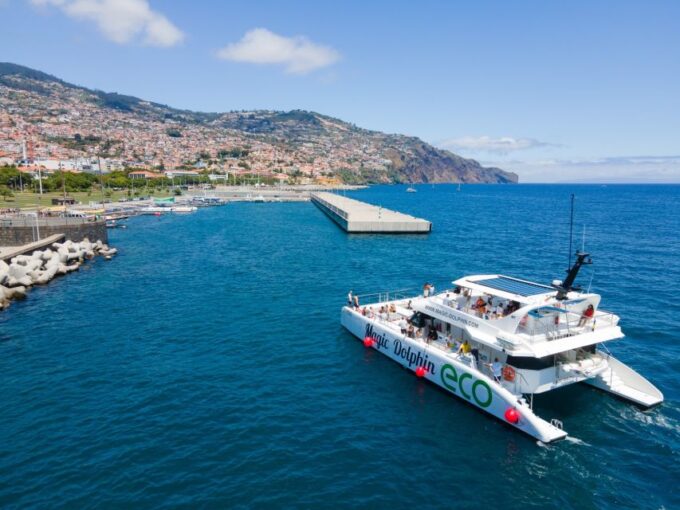 From Funchal: Ecological Catamaran Dolphin Whale Watching - Important Rules and Guidelines
