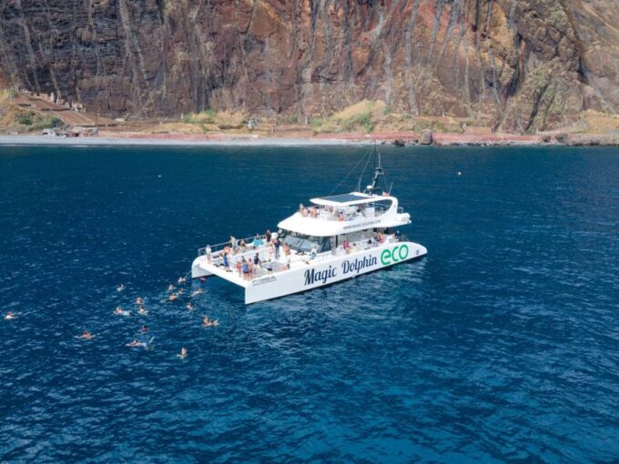 From Funchal: Ecological Catamaran Dolphin Whale Watching - Booking and Cancellation Policies