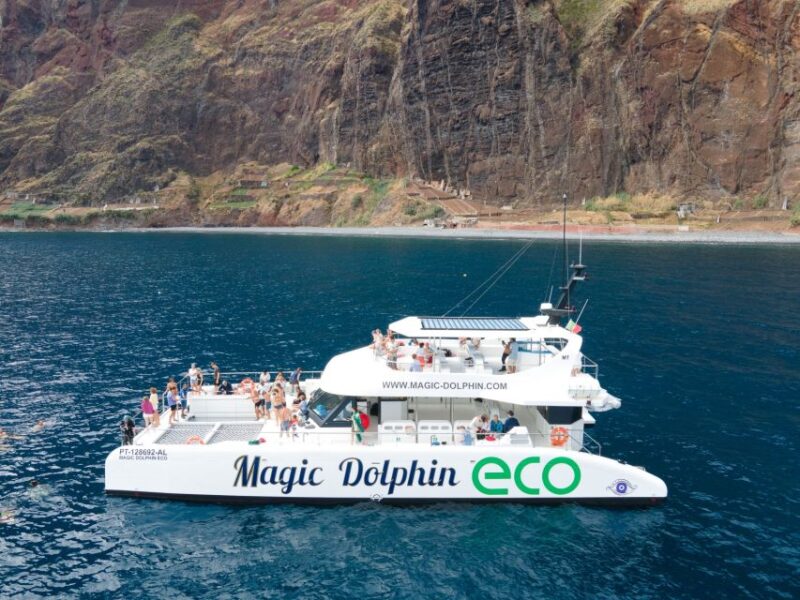 From Funchal: Ecological Catamaran Dolphin Whale Watching - Custom-Built Eco-Catamaran Features