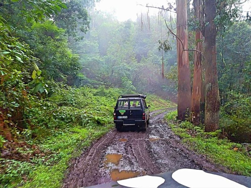 From Funchal: Full-Day Jeep Safari Tour - Coastal Exploration
