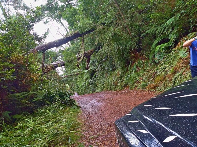 From Funchal: Full-Day Jeep Safari Tour - Inclusions and Exclusions