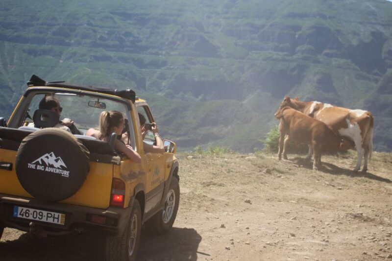 From Funchal: Guided Tour of Madeira Mountains in a Jeep - Pricing and Group Size