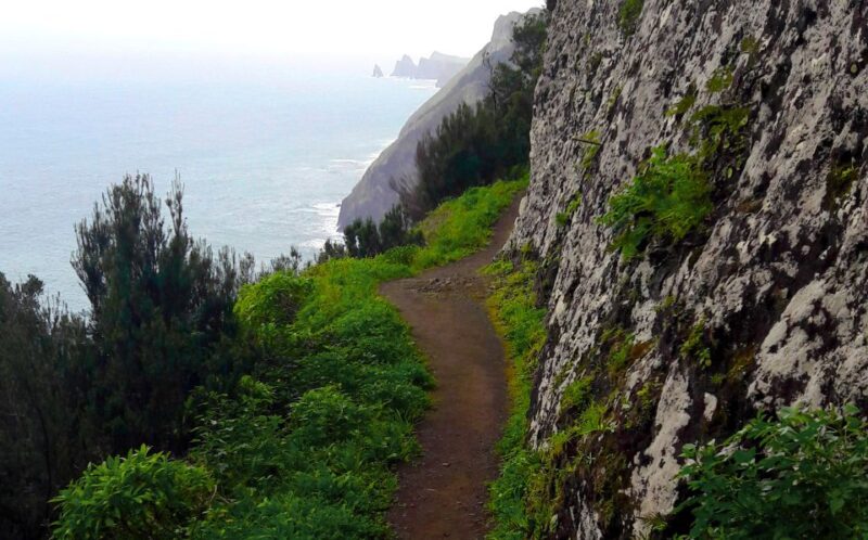 From Funchal: Machico to Porto Da Cruz Larano Cliff Hike - Experience Highlights