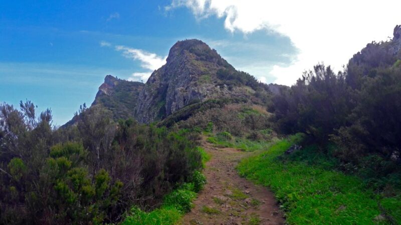 From Funchal: Machico to Porto Da Cruz Larano Cliff Hike - Experience Highlights