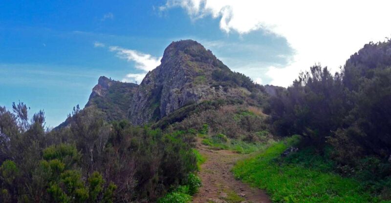 From Funchal: Machico to Porto Da Cruz Larano Cliff Hike - Inclusions