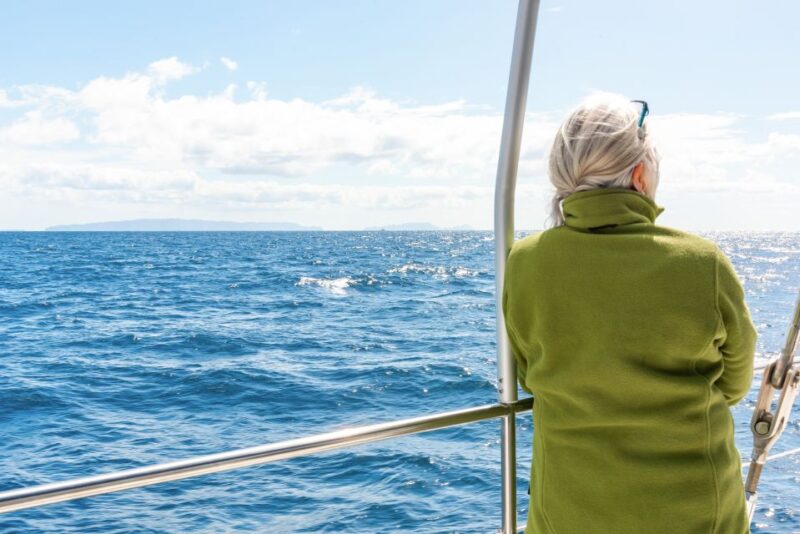 From Funchal: Madeira Dolphin and Whale Watching Tour - Inclusions and Meeting Information