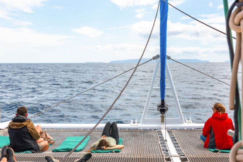 From Funchal: Madeira Dolphin and Whale Watching Tour - Important Guidelines and Restrictions