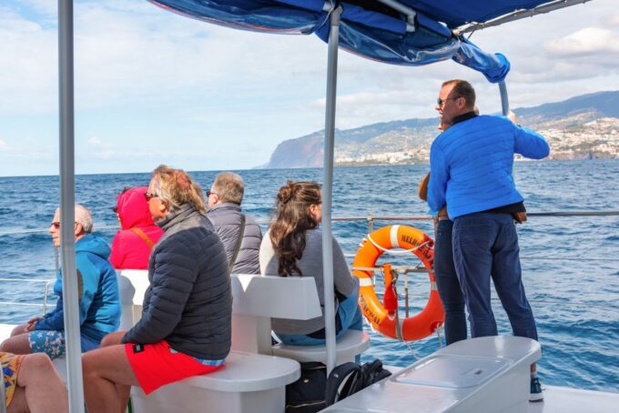 From Funchal: Madeira Dolphin and Whale Watching Tour - Catamaran Cruise Details