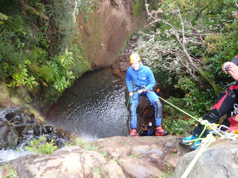 From Funchal: Madeira Island Canyoning for Beginners - Canyoning Experience Details
