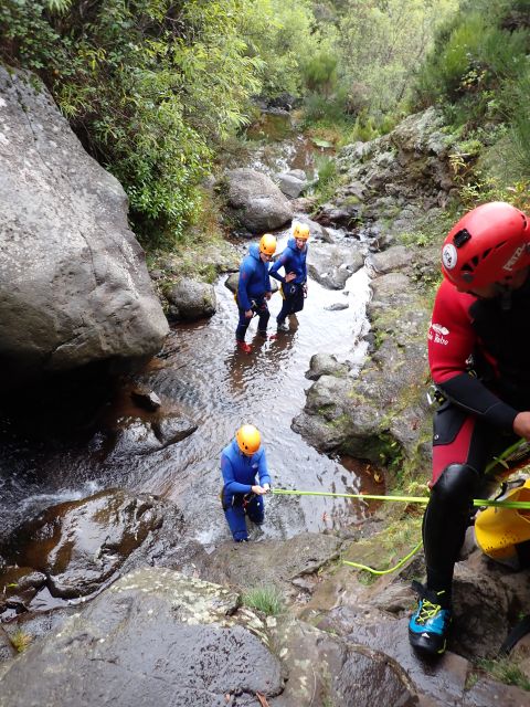 From Funchal: Madeira Island Canyoning for Beginners - Inclusions and Provisions