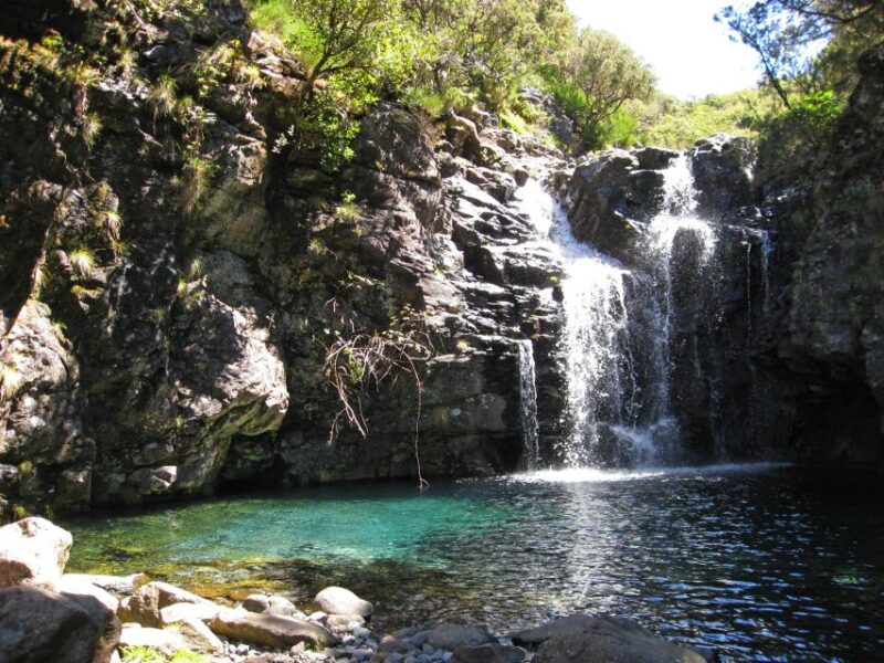 From Funchal: Madeira Lakes Levada Guided Hike - Itinerary and Activities