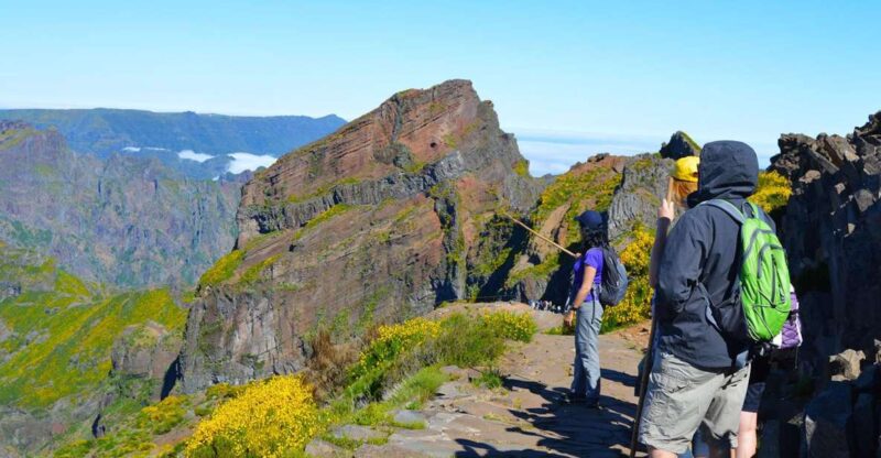 From Funchal: Madeira Peaks Mountain Walk - Hiking Experience