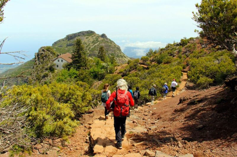 From Funchal: Madeira Peaks Mountain Walk - Transportation and Logistics