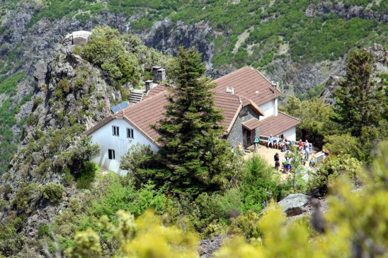 From Funchal: Madeira Peaks Mountain Walk - Customer Feedback