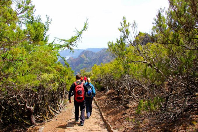 From Funchal: Madeira Peaks Mountain Walk - Booking and Cancellation Policy