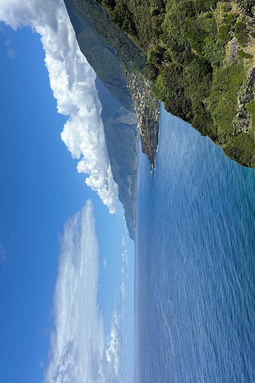 From Funchal: One Day Tour to Fanal - Seixal - Porto Moniz - Key Points
