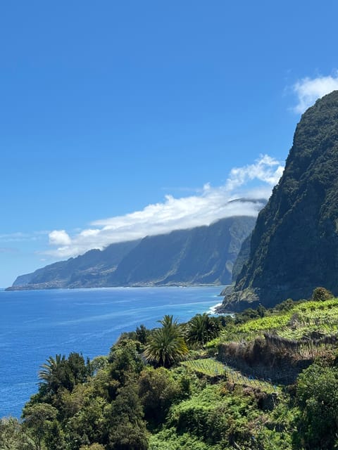 From Funchal: One Day Tour to Fanal - Seixal - Porto Moniz - Cabo Girão