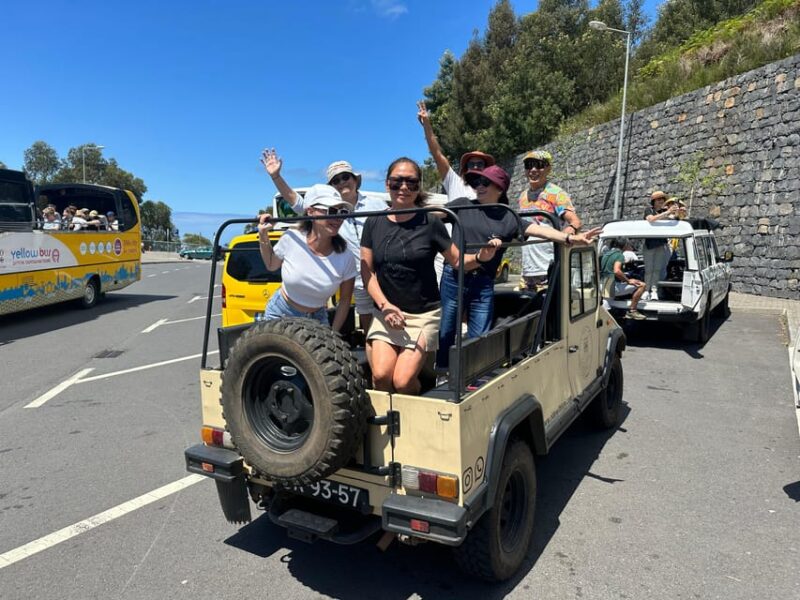 From Funchal: One Day Tour to Fanal - Seixal - Porto Moniz - Seixal