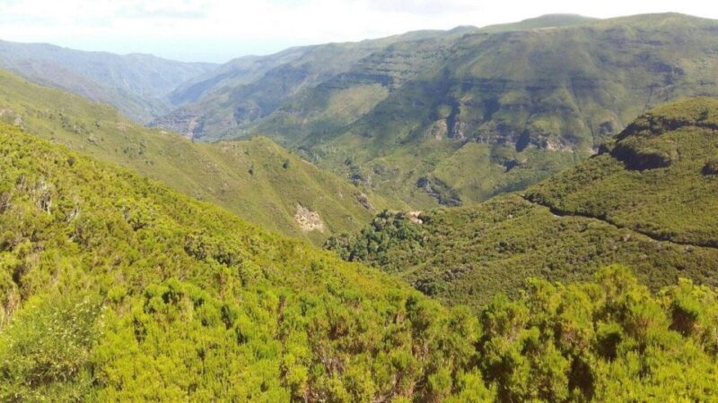 From Funchal : Paúl Da Serra Sunrise Tour Away From Crowds - Scenic Viewpoint