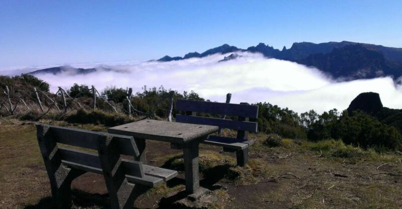 From Funchal : Paúl Da Serra Sunrise Tour Away From Crowds - Transportation and Guide