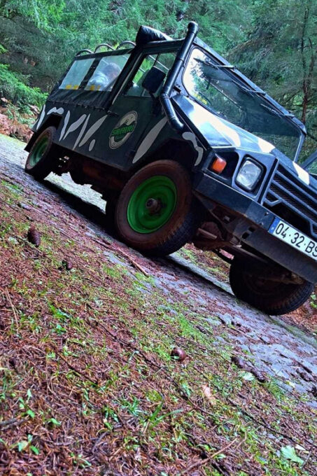 From Funchal: Pico Do Areiro and Santana Full-Day Jeep Tour - Pickup and Transportation
