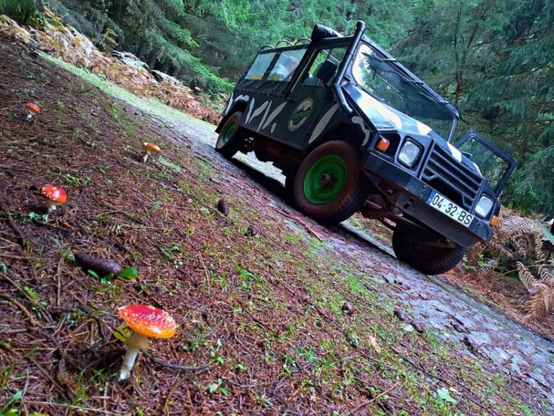 From Funchal: Pico Do Areiro and Santana Full-Day Jeep Tour - Key Points