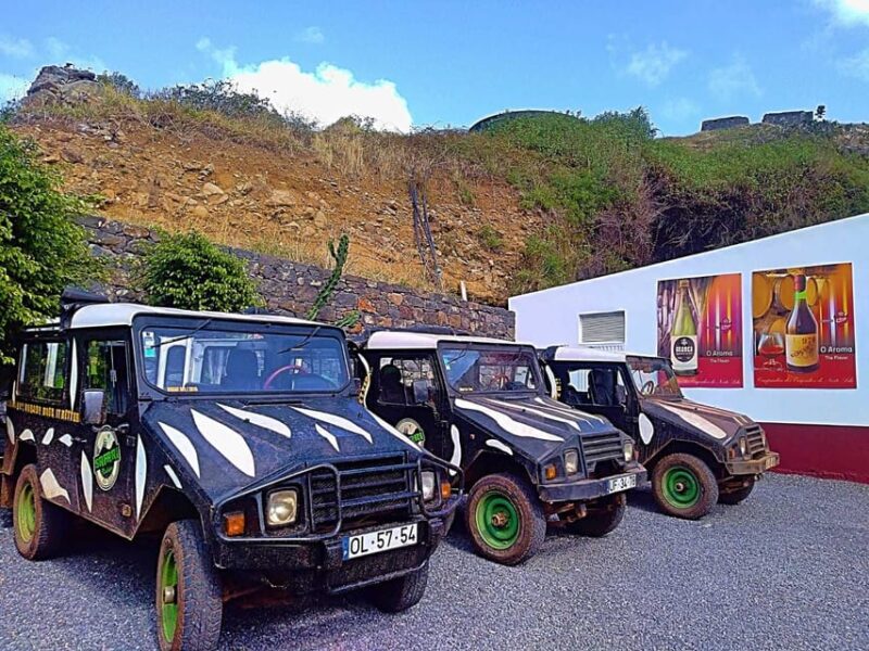 From Funchal: Pico Do Areiro and Santana Full-Day Jeep Tour - Itinerary Highlights