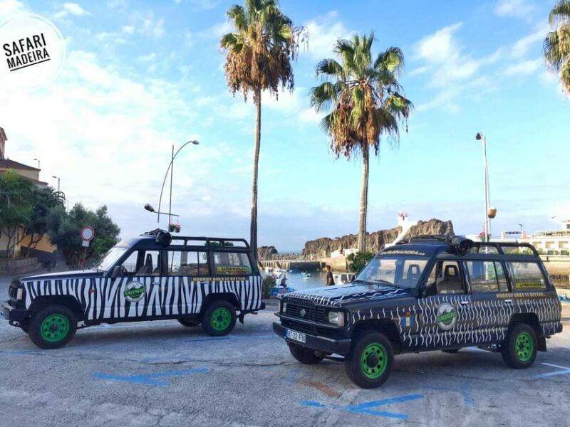 From Funchal: Pico Do Areiro and Santana Full-Day Jeep Tour - Scenic Drive to Pico Do Areiro