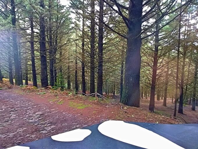 From Funchal: Pico Do Areiro and Santana Full-Day Jeep Tour - Recap
