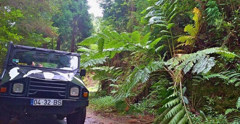 From Funchal: Pico Do Areiro and Santana Full-Day Jeep Tour - Key Points