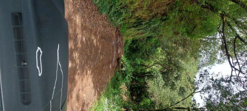 From Funchal: Pico Do Arieiro and Santana Full-Day 4x4 Tour - Itinerary Highlights