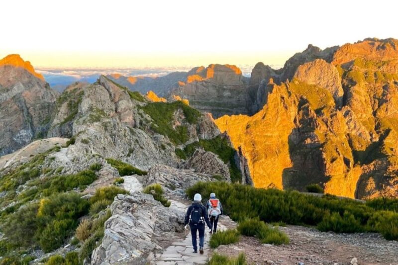From Funchal: Pico Do Arieiro to Pico Ruivo Sunrise Hike - Pricing and Availability