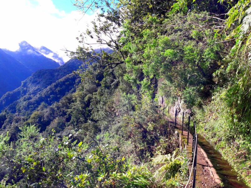 From Funchal: São Jorge Valleys Levada Walk - Experience and Highlights
