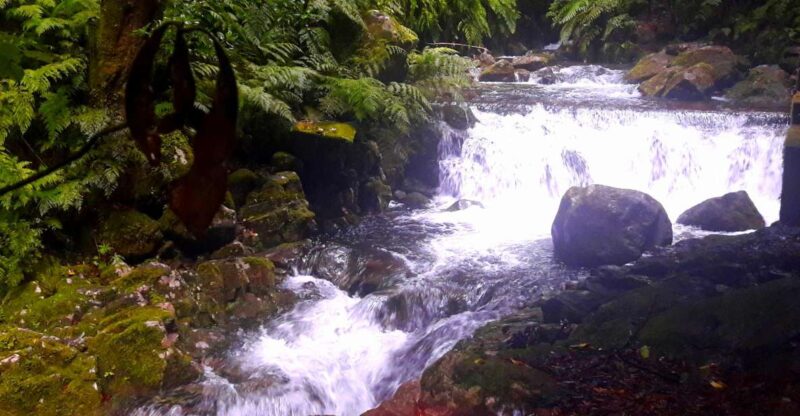From Funchal: São Jorge Valleys Levada Walk - Inclusions