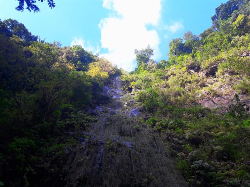 From Funchal: São Jorge Valleys Levada Walk - Customer Feedback