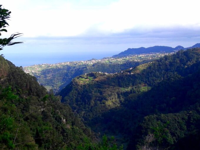 From Funchal: São Jorge Valleys Levada Walk - Exploring Madeiras Rainforest