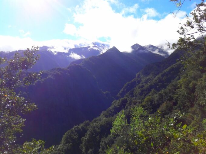 From Funchal: São Jorge Valleys Levada Walk - Unique Waterfall Experience