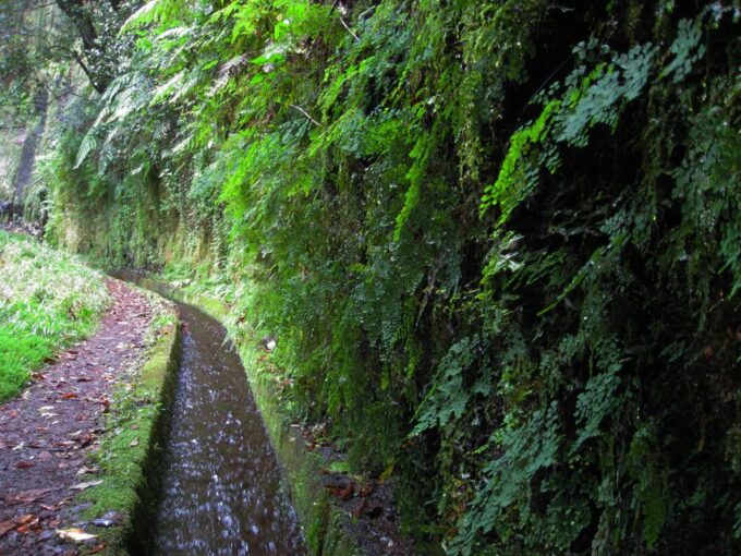 From Funchal: São Jorge Valleys Levada Walk - Frequently Asked Questions