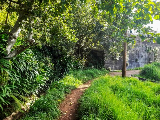 From Funchal: Sunrise at Pico Do Arieiro With Breakfast - Breakfast at the Rustic Mill