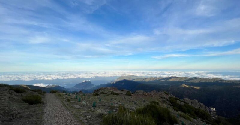 From Funchal: Transfer to Pico Do Arieiro / Pico Ruivo - Hiking Experience
