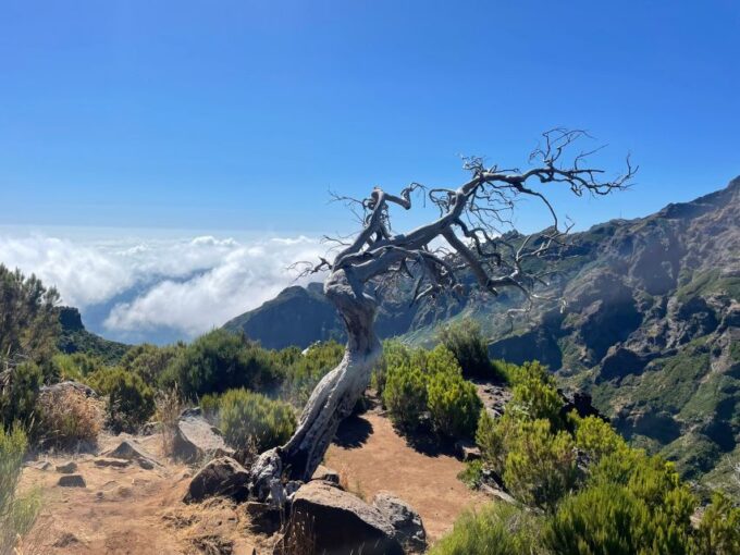 From Funchal: Transfer to Pico Do Arieiro & Pico Ruivo Trail - Itinerary and Trail Details