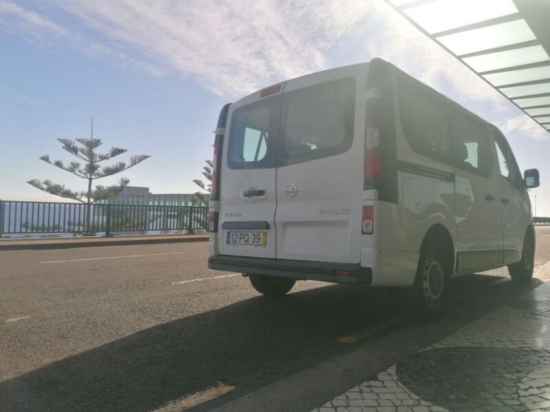 From Funchal: Transfer to Ponta De São Lourenço/ Caniçal - Transportation and Logistics