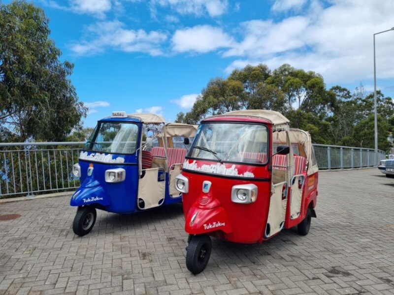 From Funchal: Tuk Tuk Tour to Camara De Lobos and Cabo Girao - Activity Details