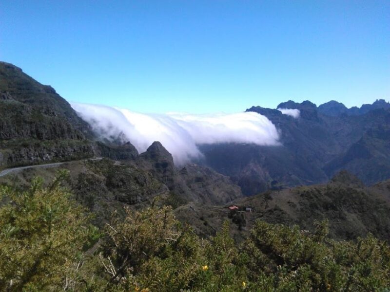 From Funchal: West Madeira and Laurel Forest Day Trip - Laurel Forest Encounter